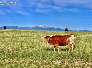 9540 Log Rd, Calhan, CO 80808