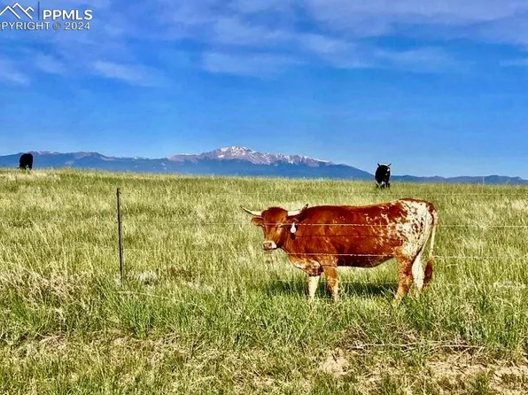9540 Log Rd, Calhan, CO 80808