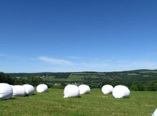 0 McFarlane Rd, Cincinnatus, NY 13040