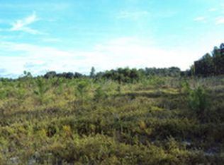 2109 Mill Creek Rd, Patterson, GA 31557