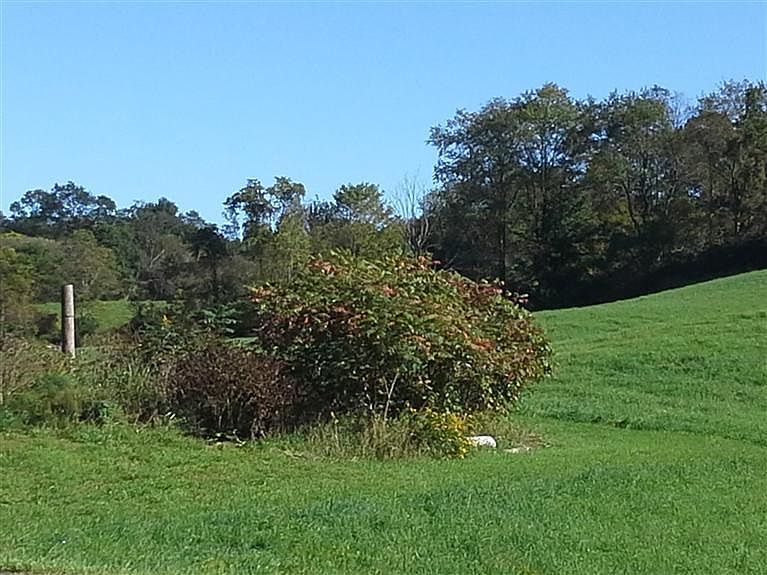 1st image of 137 County Road 32
