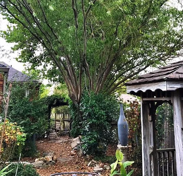Your private back entrance through the garden.