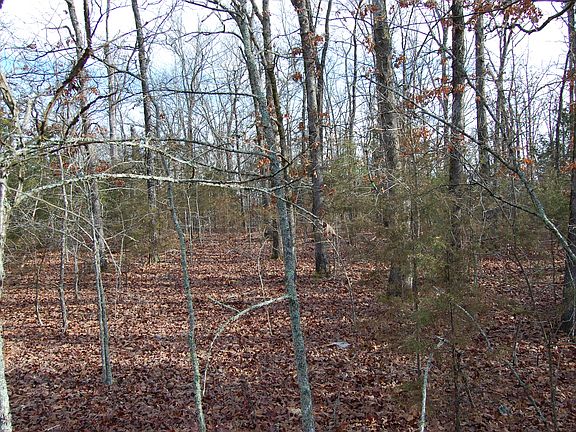 3rd image of Marion County Road 8013