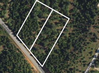 Lots 2 & 3 Colovista Dr, Bastrop, TX 78602