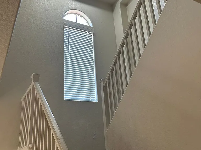 10296 Magnolia Tree Ave — Photo 6