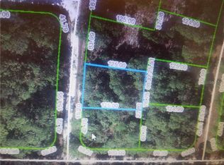 809 Fleetwood St, Lake Placid, FL 33852