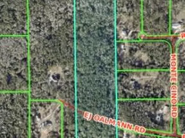 0 Ej Oalmann Rd, Bush, LA 70431