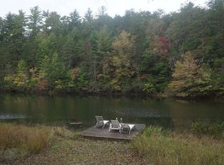 141 Newberry Dr #3, Ellijay, GA 30536