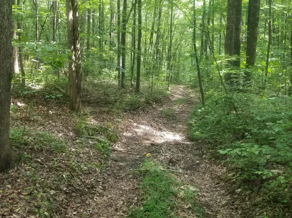 Woods Duncan Rd, Oliver Springs, TN 37840