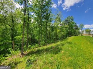 LOT 78 Jakes Landing Overlook, Ellijay, GA 30540