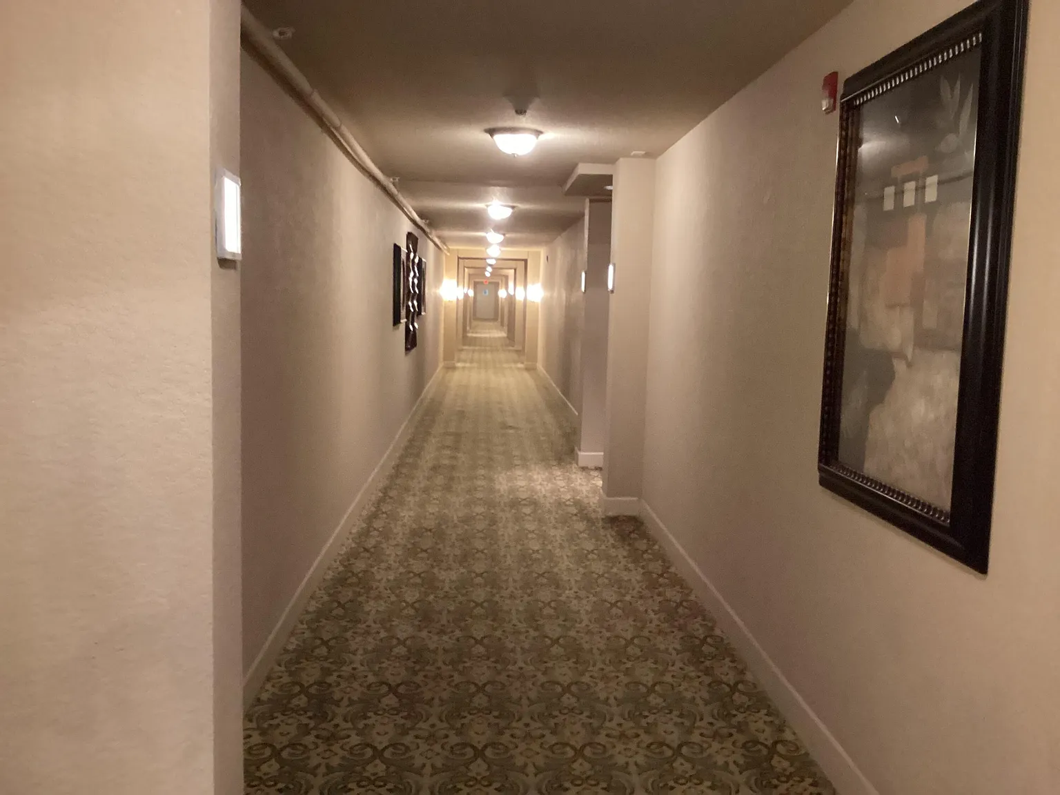 2 bed, 2.0 bath, 1375 sqft, $2,500 — Photo 3