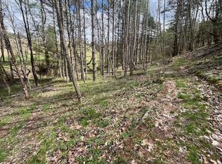 15.01 Pine Run Rd, Draper, VA 24324