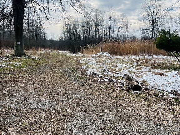 3rd image of 8670 Fortney Rd