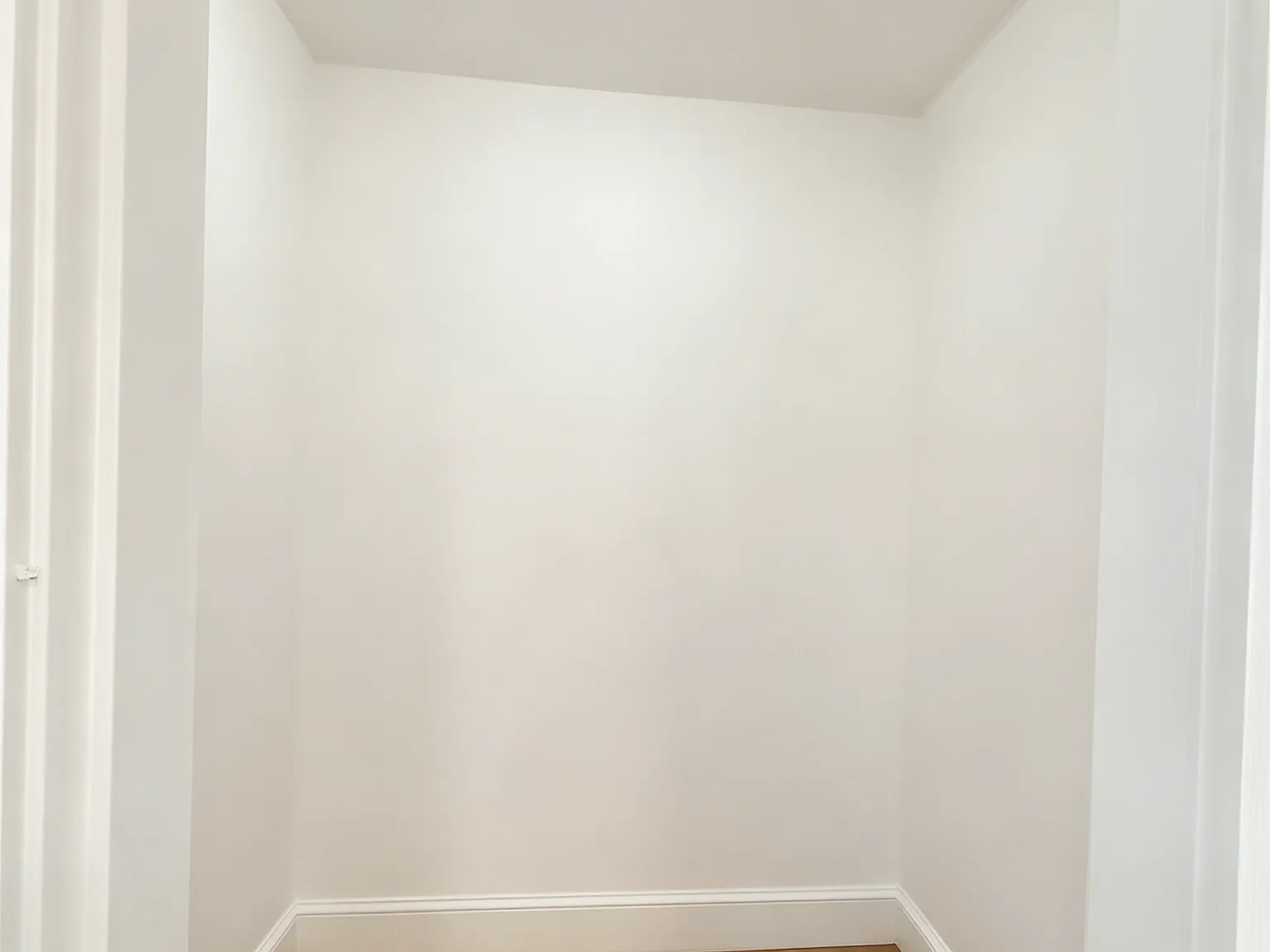 3 bed, 1200 sqft, $3,100 — Photo 4