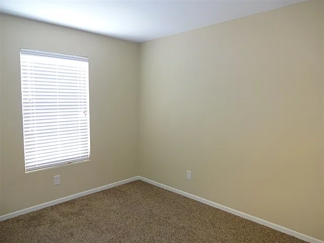 3345 Grove Berry Ln — Photo 13