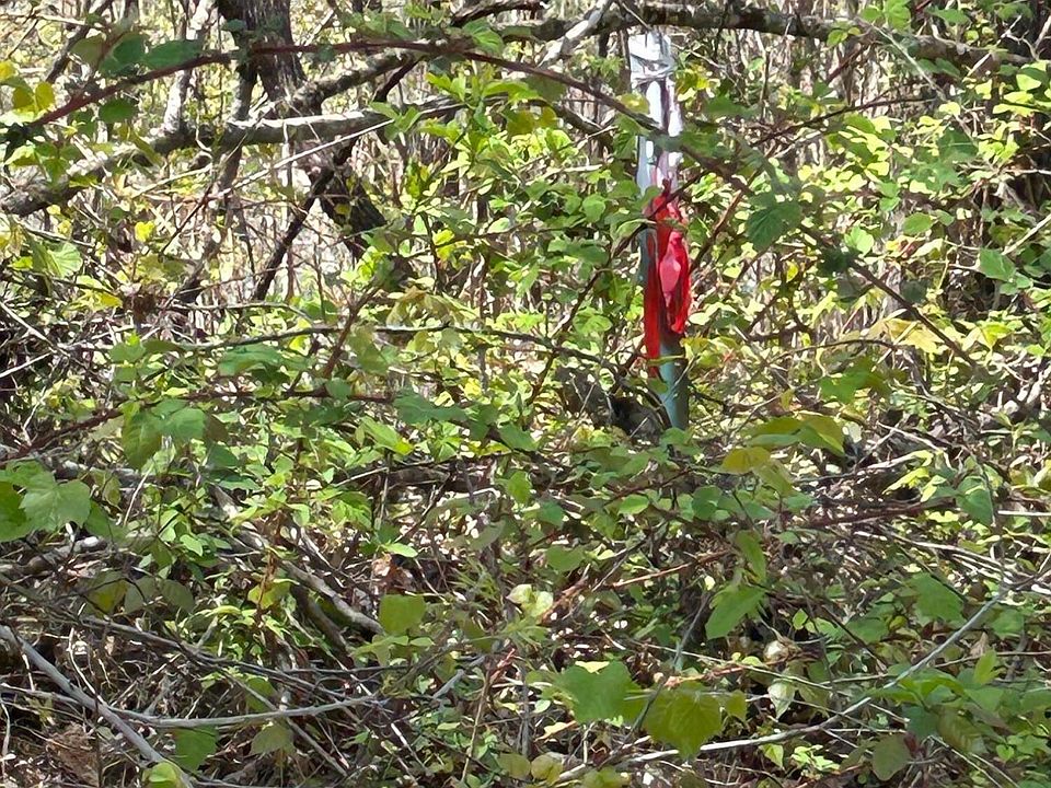 1st image of LOT 27 Jones Ridge Rd