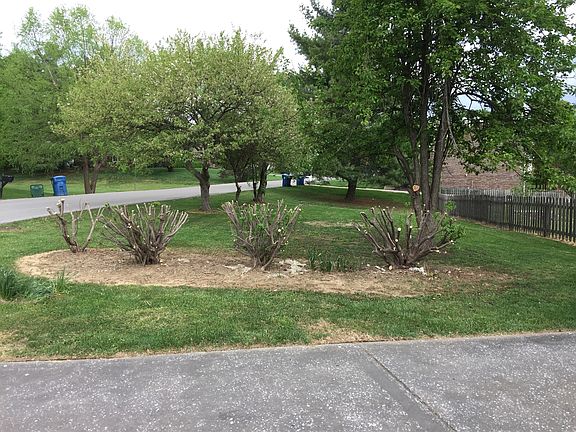 4th image of 121 Cheyenne Dr