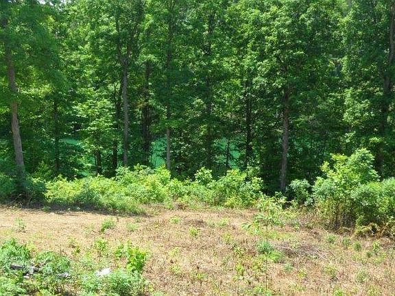 Looking at lake from road