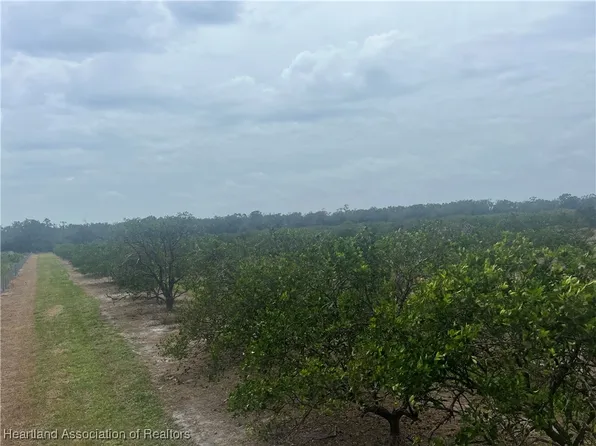 3115 NW Round House Dr, Arcadia, FL 34266