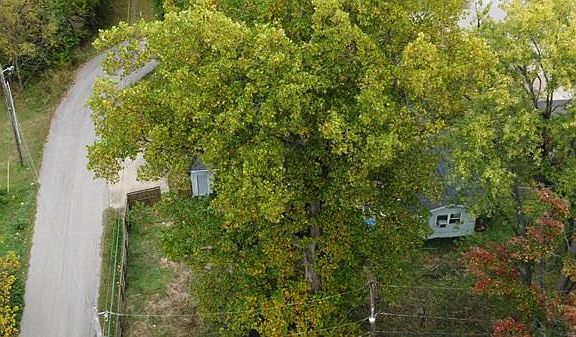 3rd image of 4711 Briarwood Dr