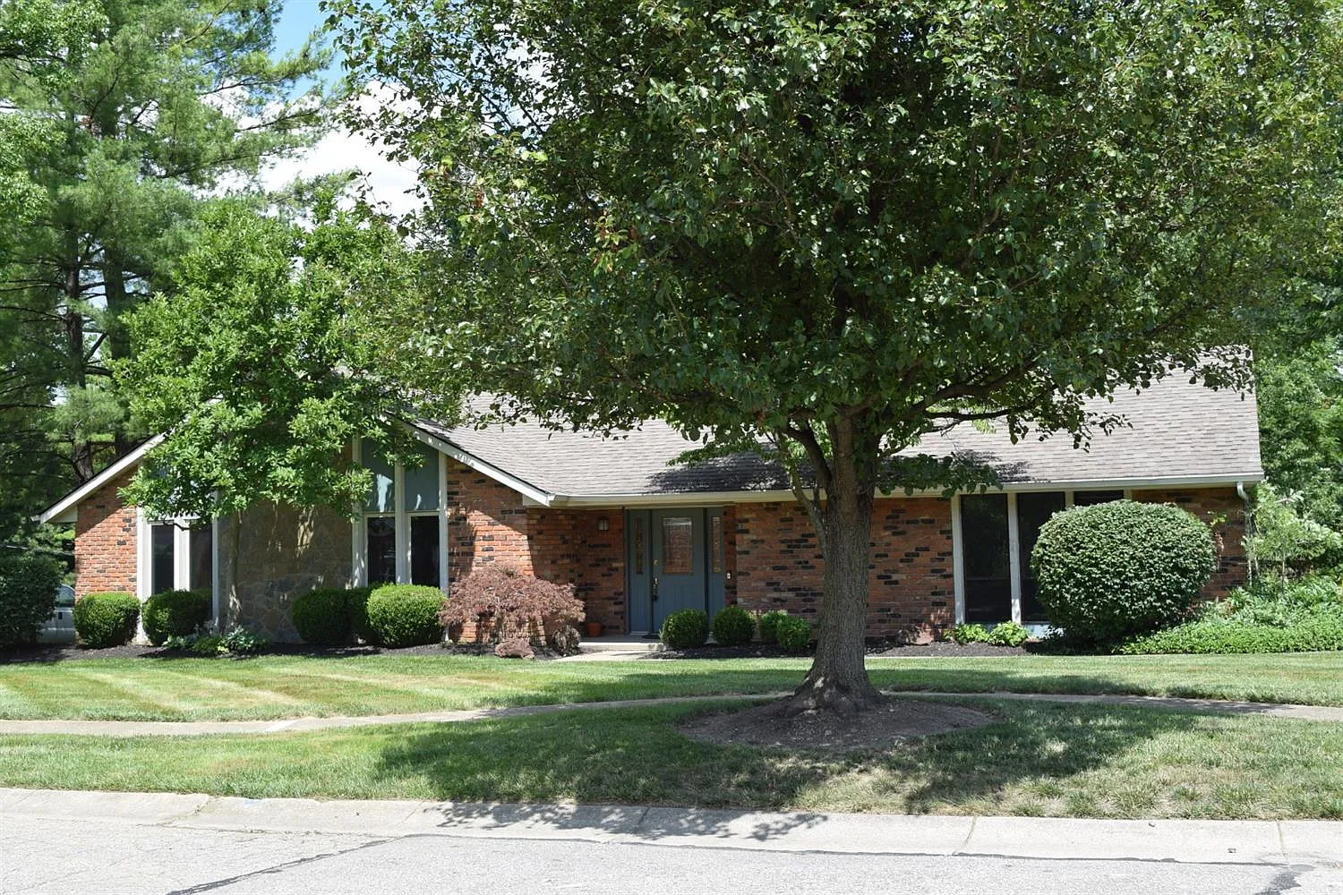 5602 Williamsburg Way photo 1