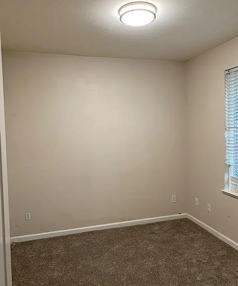 Downstairs bedroom with its own bathroom, new ceiling light fixture and carpet