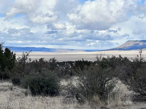 58299 N Bridge Canyon Pkwy, Seligman, AZ 86337