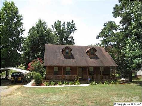 17 SWEET GUM-FRONT VIEW