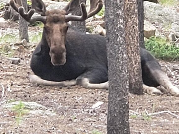 3rd image of 765 Cabin Creek Rd