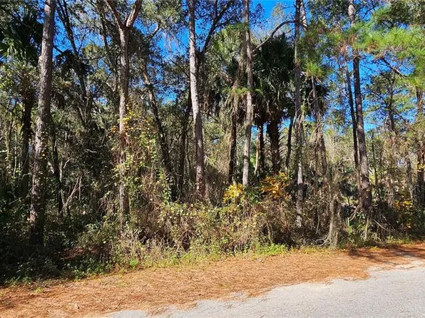 LOT 9 SEQUOIA DRIVE LOT 9, OCKLAWAHA, FL 32179
