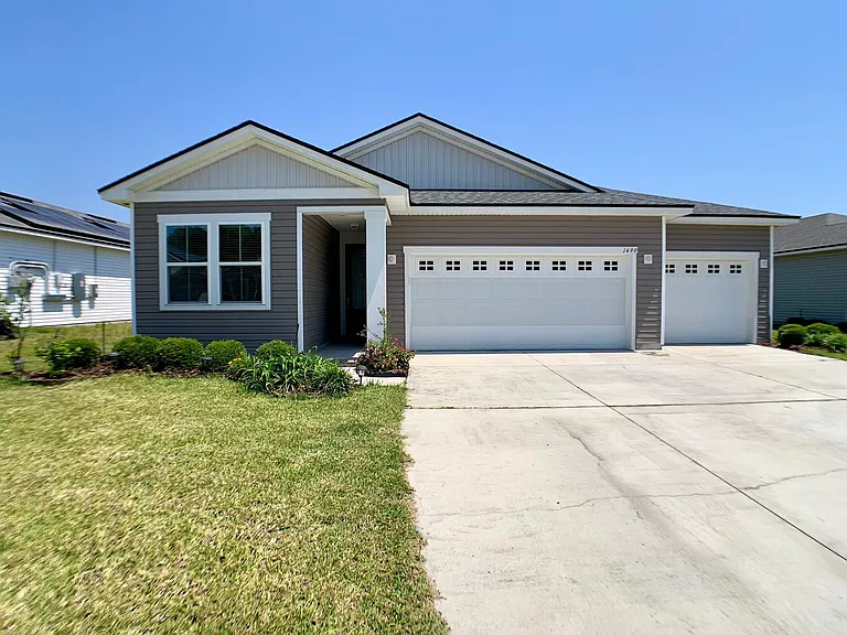 1499 Tropical Pine Cv — Photo 2