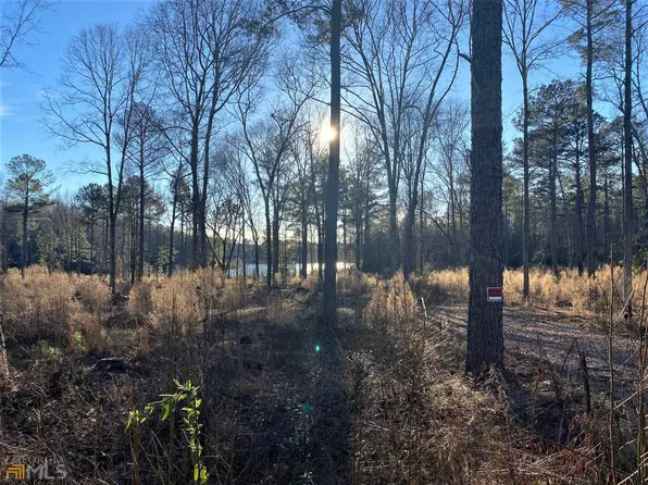 LOT 8 Hannahs Mill Rd, Thomaston, GA 30286
