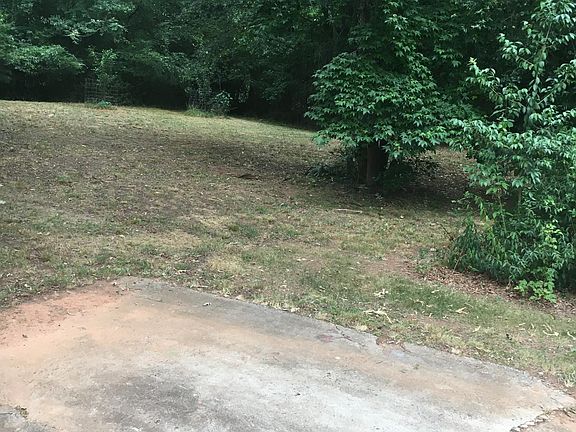 Very large private backyard