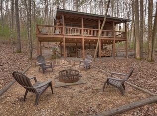 60 Allen Rd, Cherry Log, GA 30522