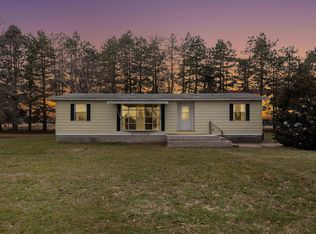 4723 Stedman Rd, Ionia, MI 48846