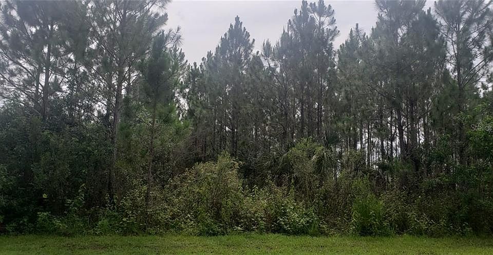 1st image of 7 Palmetto Dr S