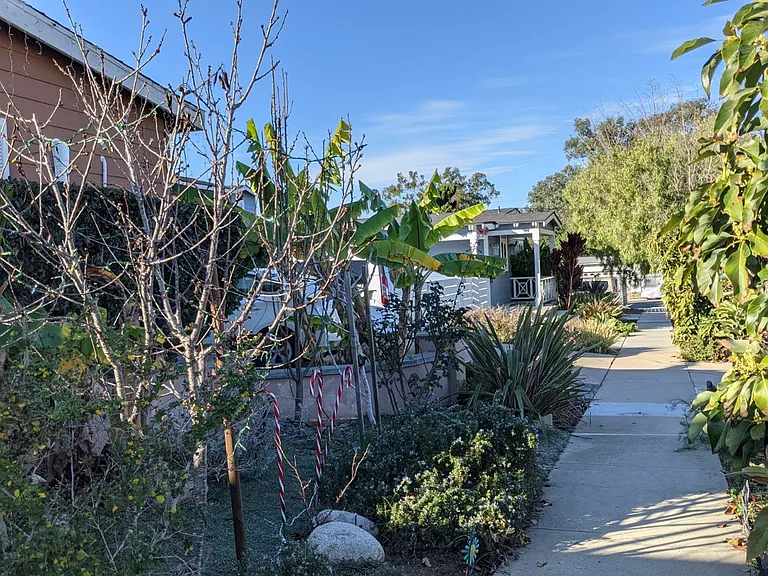 Exterior/sidewalk garden