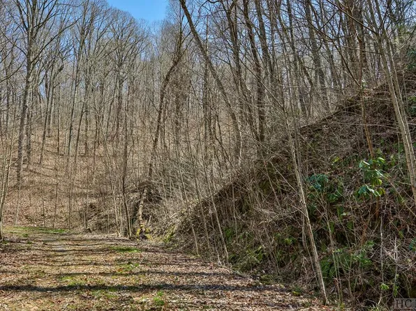 TBD Bearwood Dr, Cullowhee, NC 28723