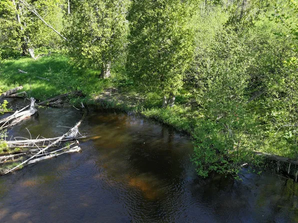 V/l E Pomeroy Springs Rd, Irons, MI 49644