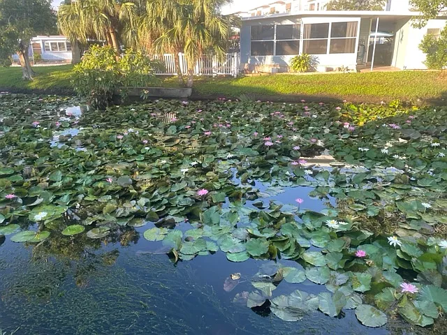 2679 Osaka Dr — Photo 12