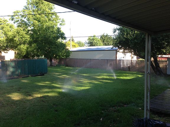 Shaded back yard