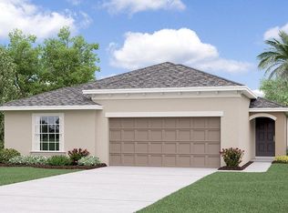 10239 Strawberry Tetra Dr, Riverview, FL 33578