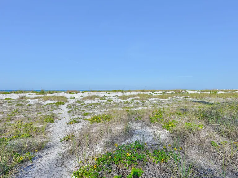 10220 Gulf Blvd #1 — Photo 28