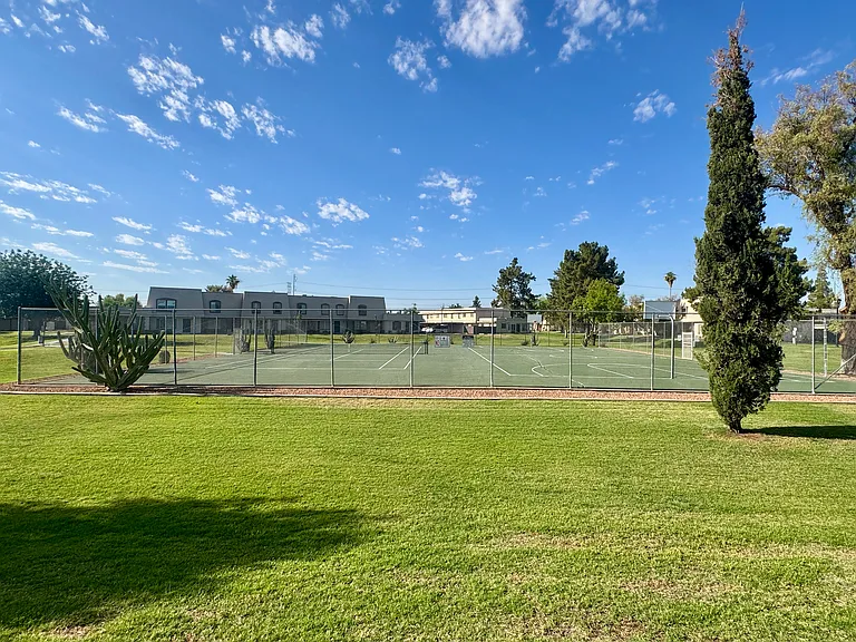 909 E Lodge Dr — Photo 19