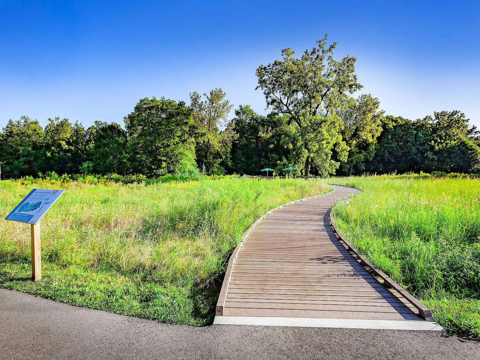 Main Street on the Monon — Photo 1