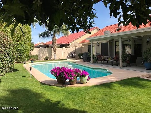 Aster back yard pool