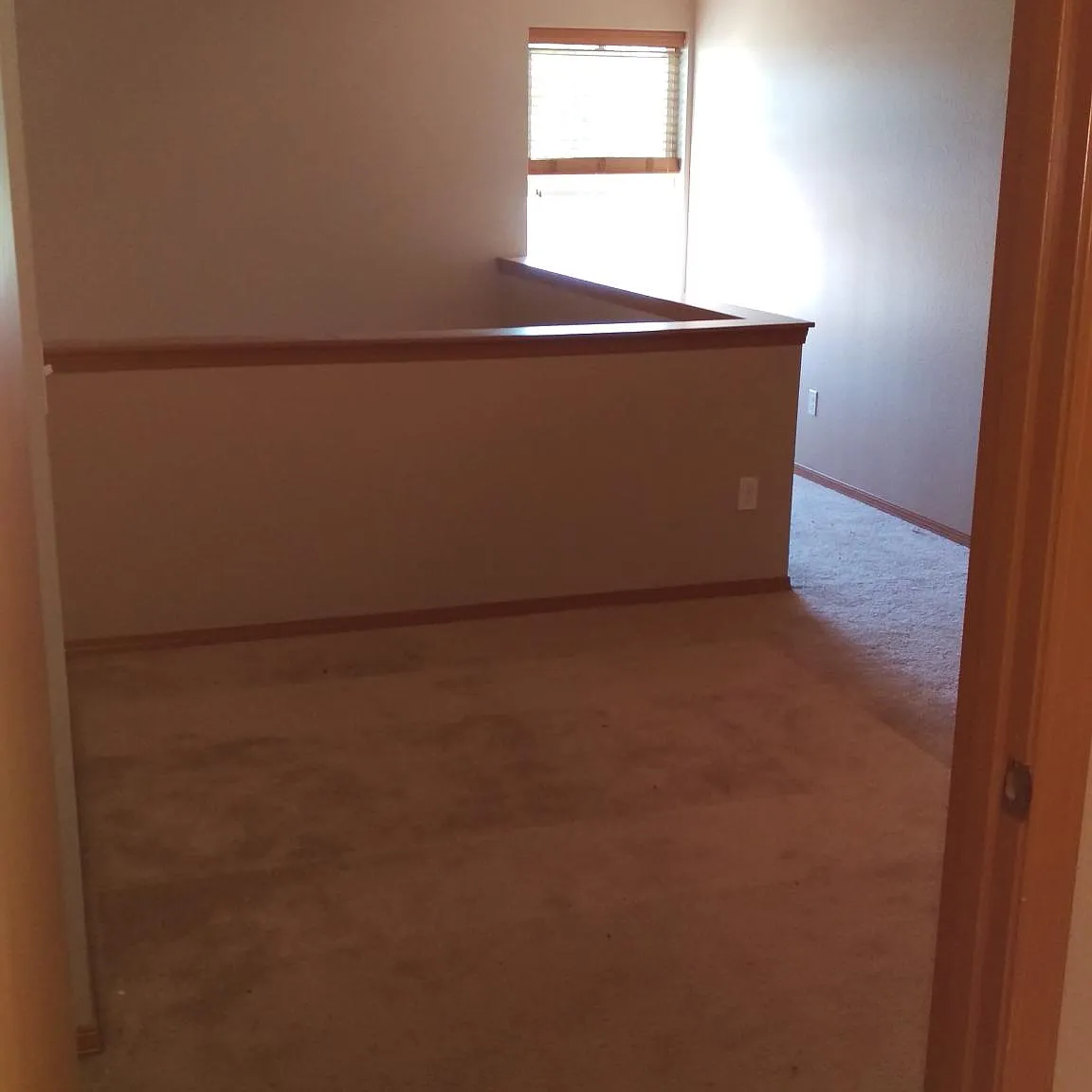 1 bed, $1,100 — Photo 3