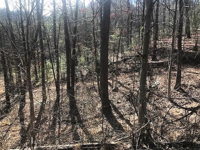1st image of 25 Cloudburst Dr Lot 24