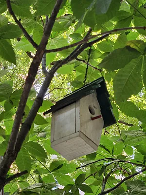 Rented by Bond New York | media 3