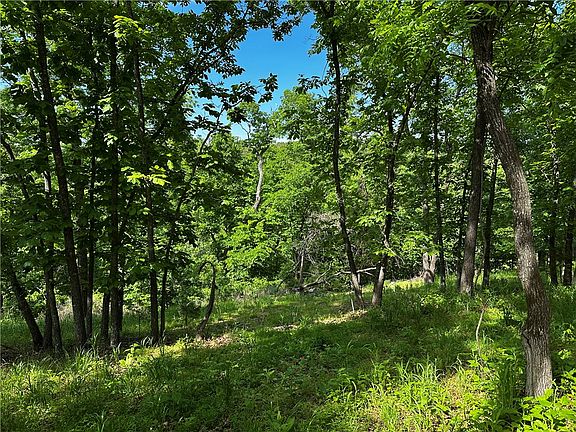 4th image of LOT 100 E Robin Rd